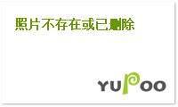你若盛开，清风自来章节列表