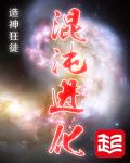 混沌进化章节列表