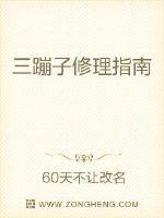 三蹦子修理指南章节列表