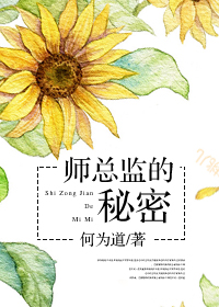 师总监的秘密章节列表