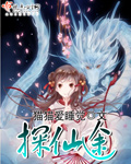探仙途章节列表