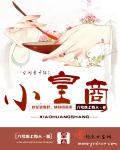小皇商章节列表