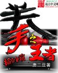 拳之王者章节列表