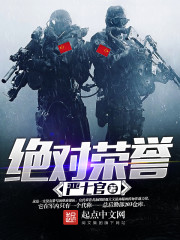 绝对荣誉章节列表