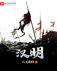 汉明章节列表