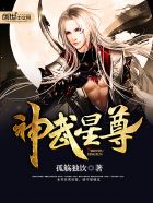 神武星尊章节列表