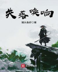 失落唤响章节列表