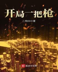 开局一把枪章节列表