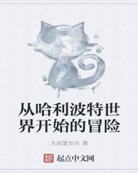 从哈利波特世界开始的冒险章节列表