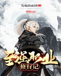 至强职业修行记章节列表