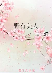 野有美人章节列表