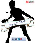 重生之乒乓国魂章节列表