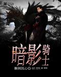 暗影骑士章节列表