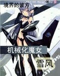 机械化魔女雪风章节列表