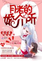 月老的婚介所章节列表