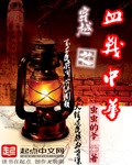 穿越之血战中华章节列表