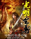 光明至尊章节列表