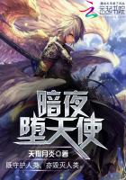 暗夜堕天使章节列表