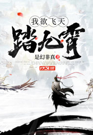 我欲飞天踏九霄章节列表