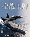 空战王牌章节列表