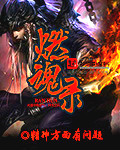 燃魂录章节列表