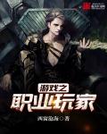 游戏之职业玩家章节列表