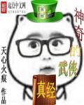 神奇的武侠真经章节列表