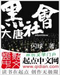 大唐黑社会章节列表