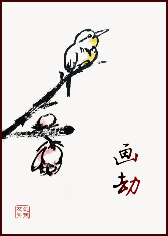 画劫章节列表