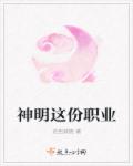 神明这份职业章节列表