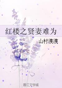 红楼之贤妻难为章节列表