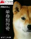 英雄联盟之单身狗传奇章节列表
