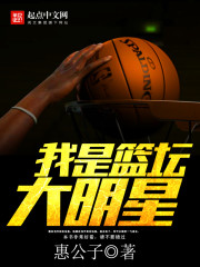 我是篮坛大明星章节列表