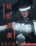 暗影潜袭章节列表