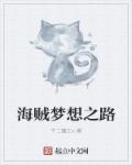 海贼梦想之路章节列表