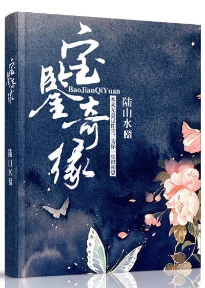 宝鉴奇缘章节列表