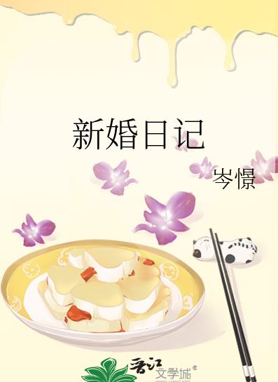 新婚日记章节列表