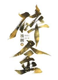 碎金章节列表