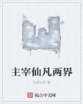 主宰仙凡两界章节列表