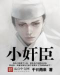 小奸臣章节列表