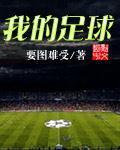 无敌中场章节列表