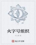 火字号组织章节列表