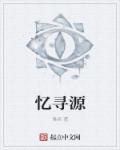 忆寻源章节列表