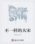 不一样的大宋章节列表
