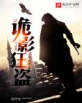 诡影狂盗章节列表
