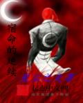 宿命的延续章节列表