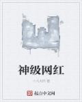 神级网红章节列表