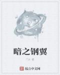 暗之钢翼章节列表