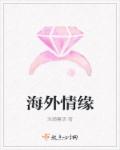 海外情缘章节列表