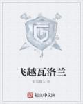 飞越瓦洛兰章节列表